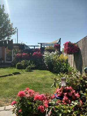 Garden - click for photo gallery